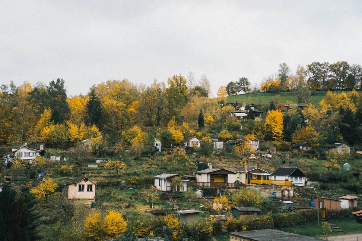 Autumn in the Cotswolds: 8 Photo Spots for Colour and Atmosphere